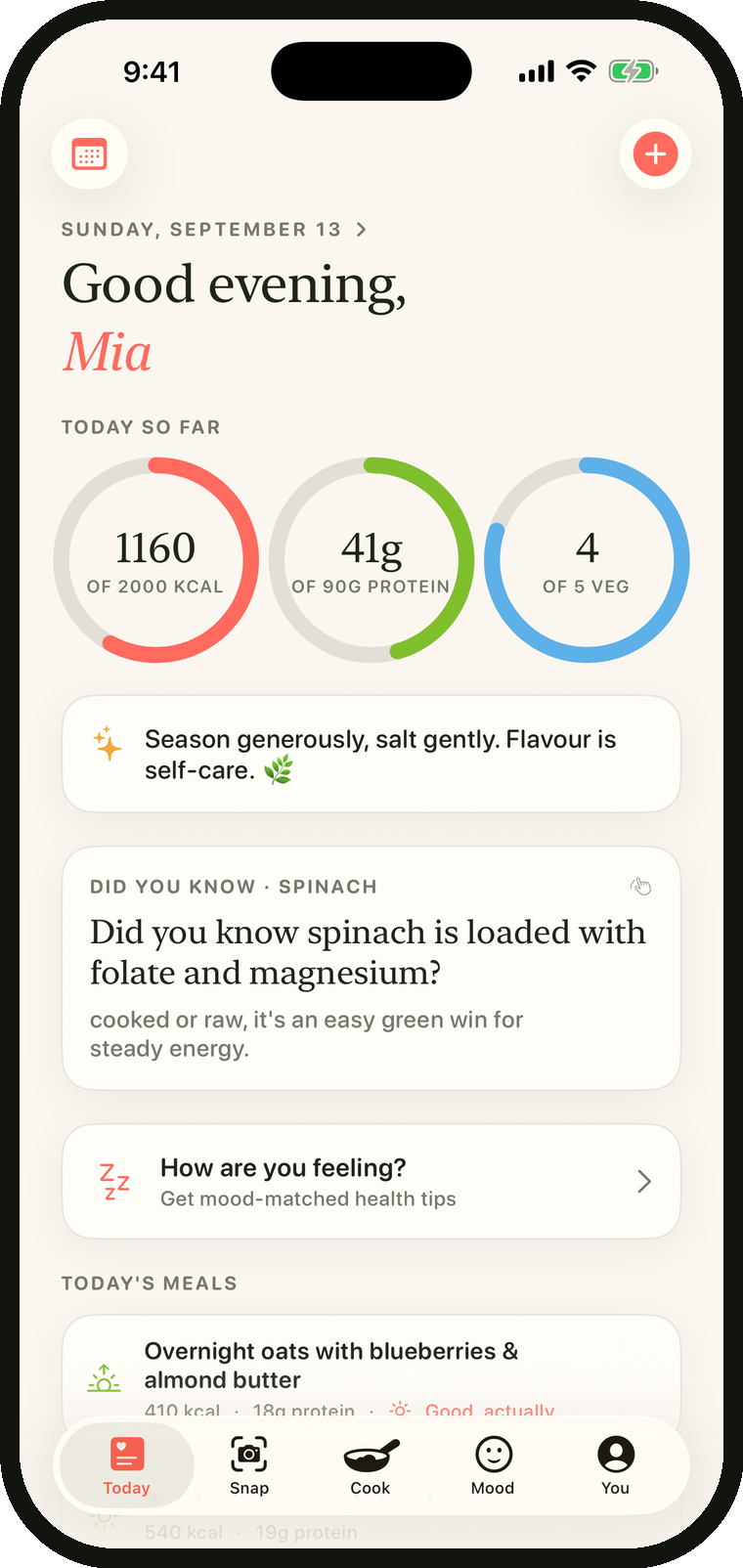The Today screen: calorie, protein and veg rings, a daily hint, and today's meals.